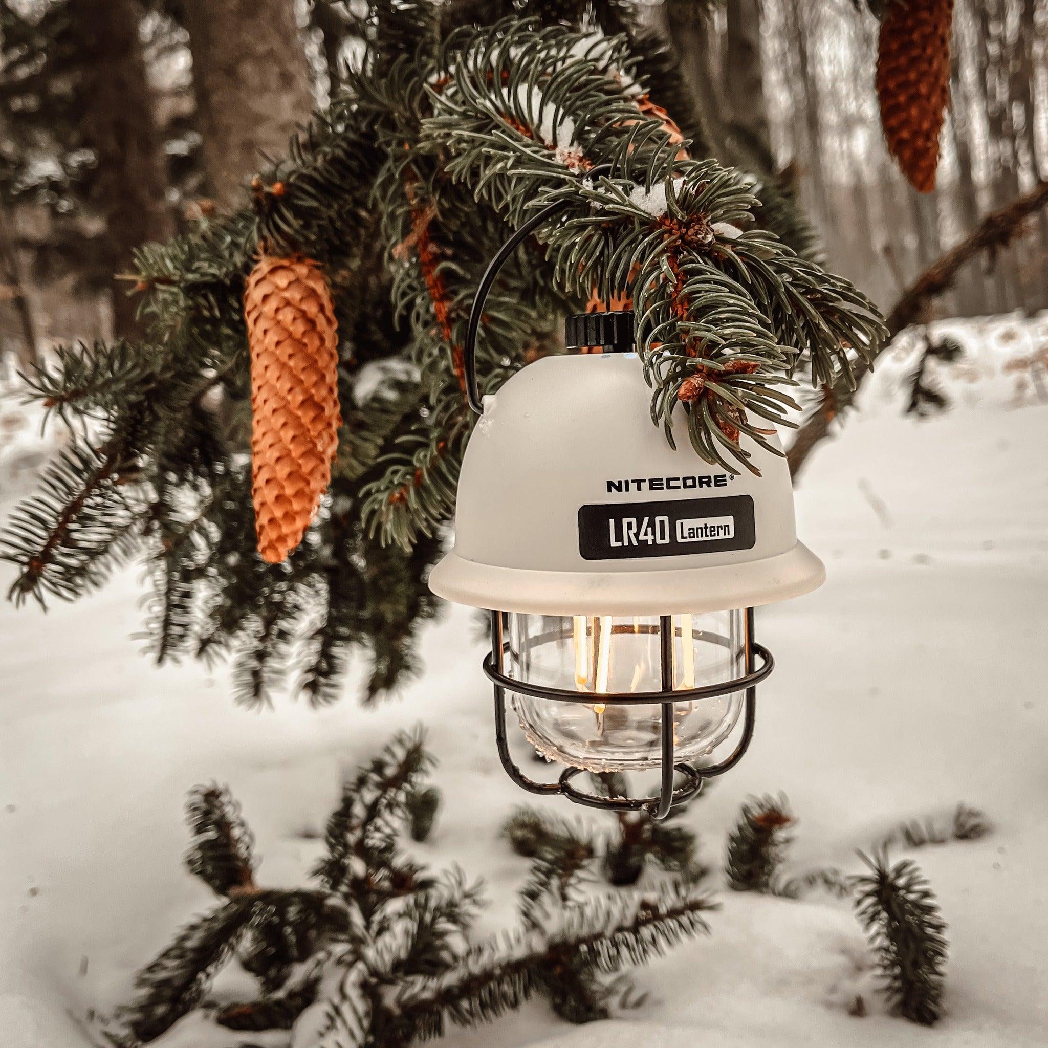 LR40 (White) - 100 lumens - Image 15