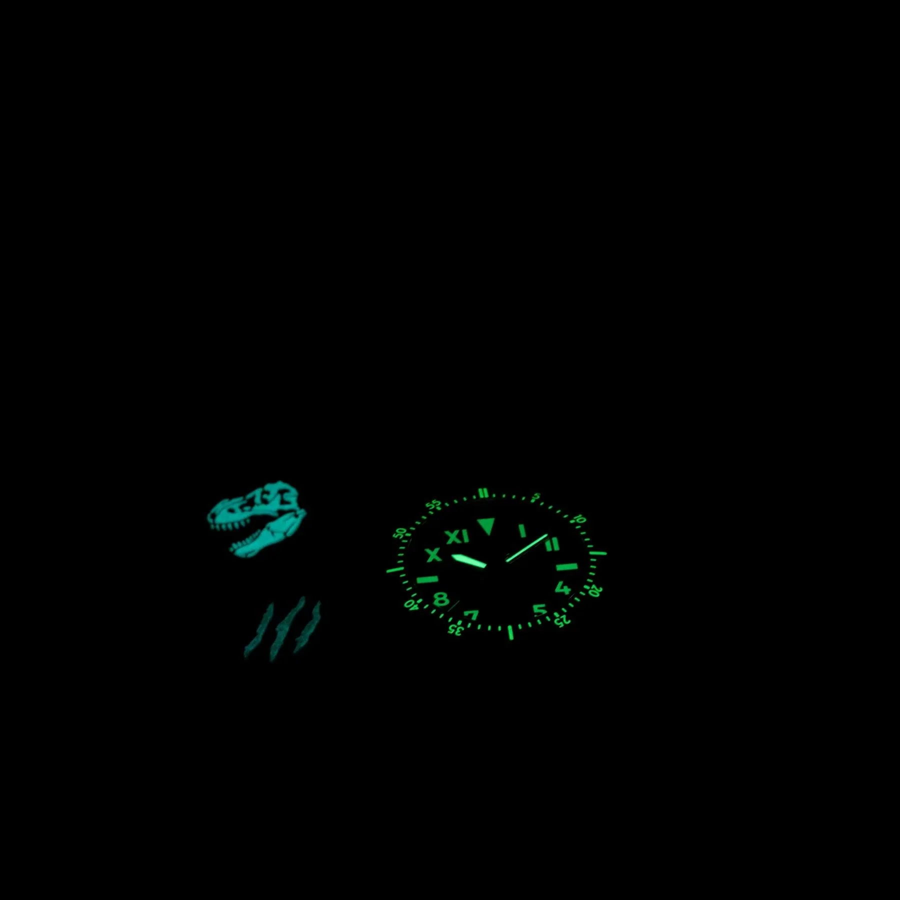 The T-REX (Boldr X Nitecore) - Image 19