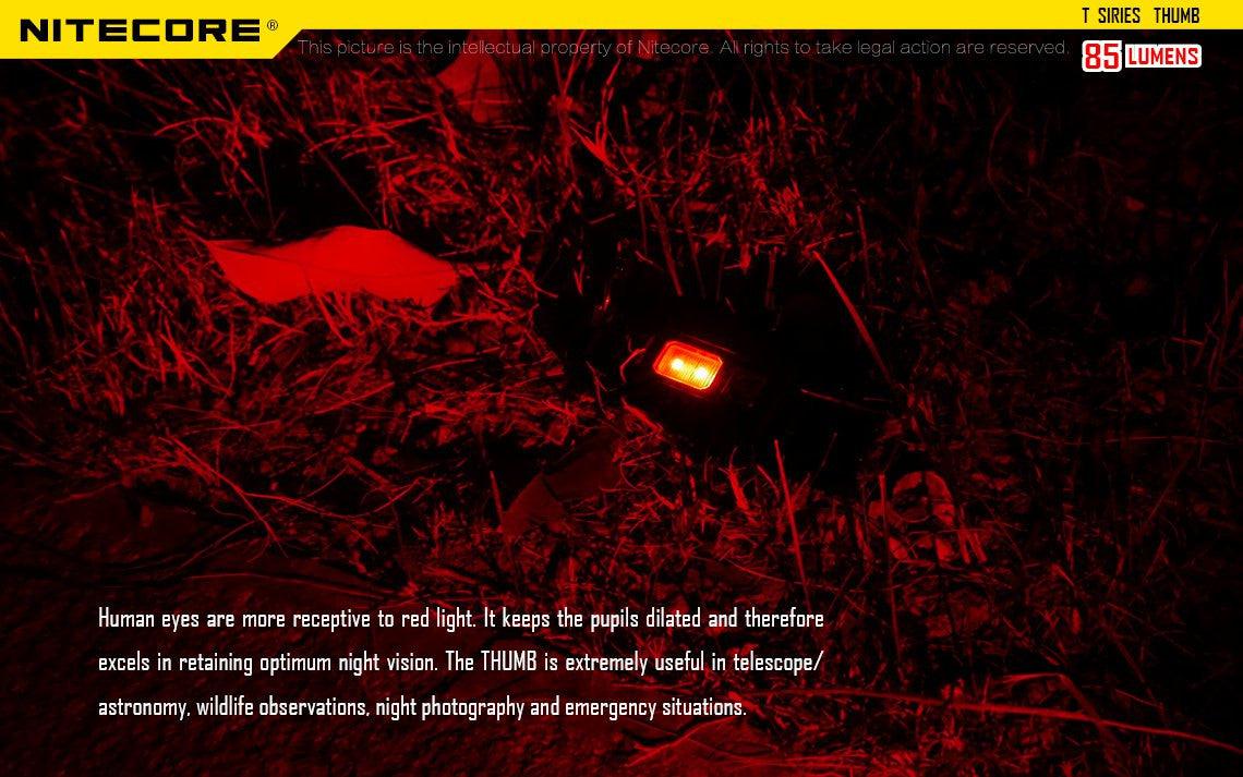 Thumb - 85 lumens - Image 15